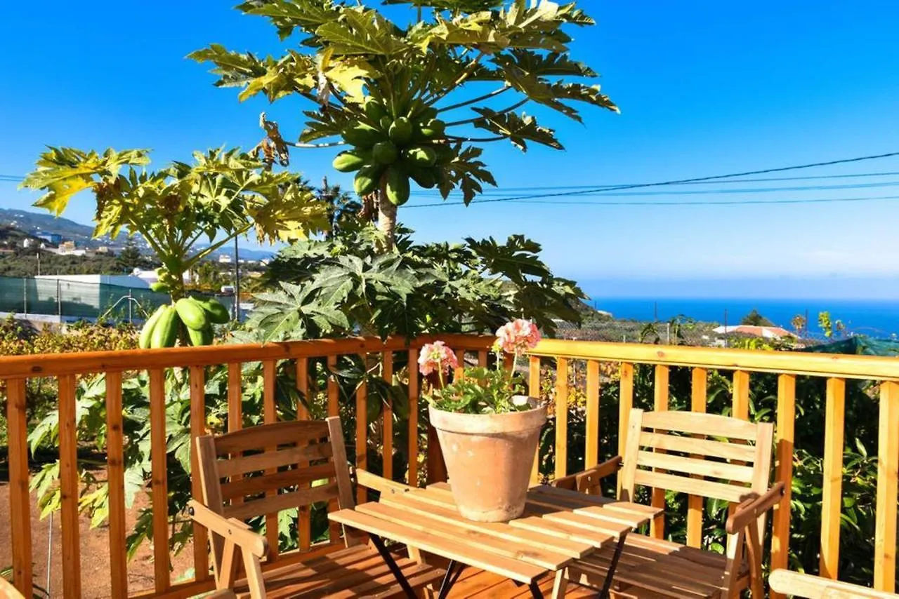 Charming House With Sea View Icod De Los Vinos Bbq Vakantiehuis